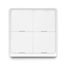 Control Button T-GM150
