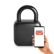 Fingerprint padlock T-IQ401