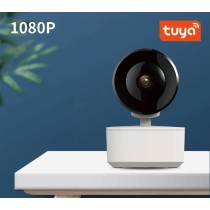Kamera wewnętrzna T-IQ450