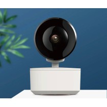 Kamera wewnętrzna T-IQ450