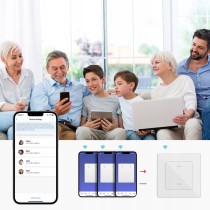Switch 2 channels T-IQ531