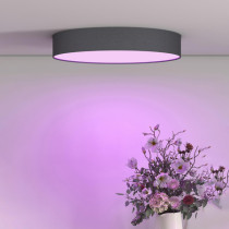 Lampa Sufitowa LED T-LD320