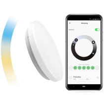 Lampa Sufitowa LED T-LD321