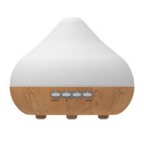 Fragrance Diffuser T-LD615