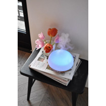 Fragrance Diffuser T-LD615