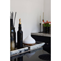 Fragrance Diffuser T-LD615