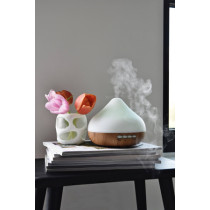 Fragrance Diffuser T-LD615