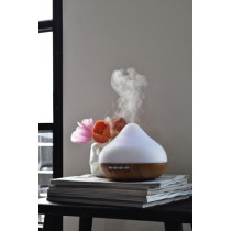 Fragrance Diffuser T-LD615