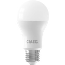 LED light bulb T-LD671