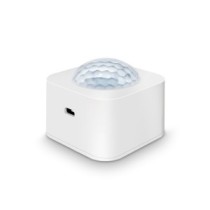 Motion sensor with lux meter T-GM920