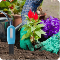 Soil temperature and moisture sensor T-DM102