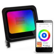 Naświetlacz LED T-LD300