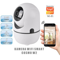Kamera wewnętrzna T-LD901