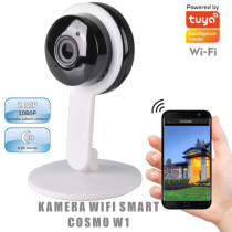Kamera wewnętrzna T-LD902