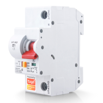 BEZPIECZNIK 1 FAZA PP-410