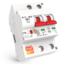 copy of BEZPIECZNIK 1 FAZA...