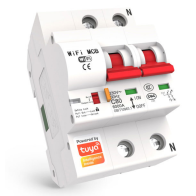 copy of BEZPIECZNIK 1 FAZA...