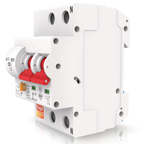 BEZPIECZNIK 2 FAZY PP-420