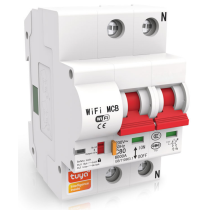 BEZPIECZNIK 2 FAZY PP-420