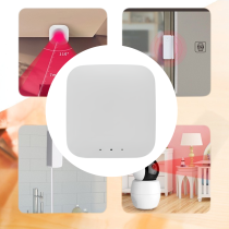 BRAMKA ZIGBEE PB-210