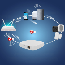 BRAMKA ZIGBEE PB-210