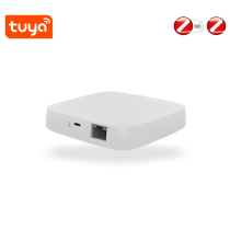 BRAMKA ZIGBEE PB-210