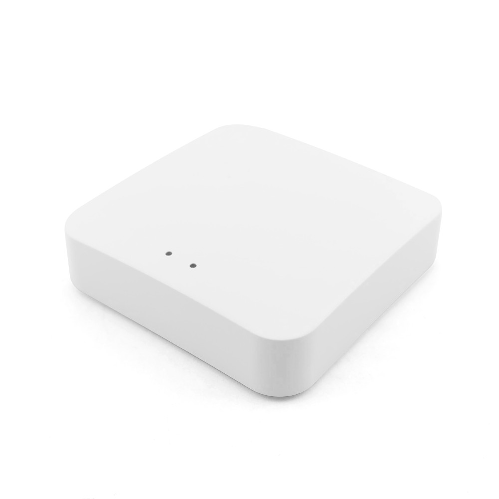 ZigBee Bluetooth Gateway T-GM100