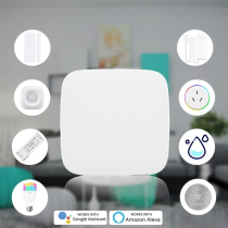 BRAMKA ZIGBEE PB-210