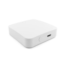 ZigBee Bluetooth Gateway T-GM100
