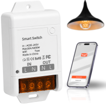 SWITCH 30A PP-533