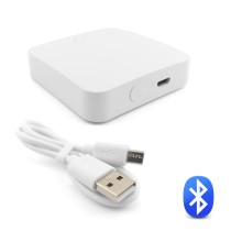 ZigBee Bluetooth Gateway T-GM100
