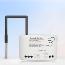 SWITCH Z SONDĄ PP-611