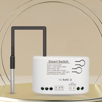 SWITCH Z SONDĄ PP-611