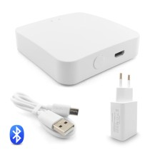 ZigBee Bluetooth Gateway T-GM100