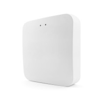 ZigBee Bluetooth Gateway T-GM100