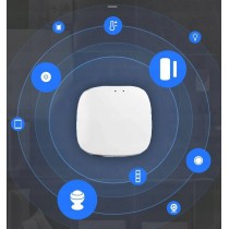 Bluetooth gateway T-IQ101