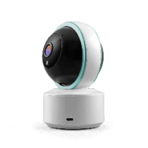 Electronic nanny T-GM900