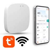 Bluetooth gateway T-IQ101